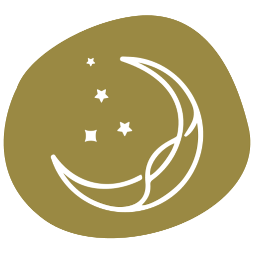 Light into the Stars Logo